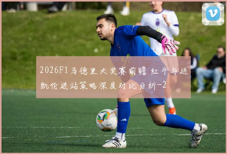 2026F1马德里大奖赛前瞻 红牛与迈凯伦进站策略深度对比分析