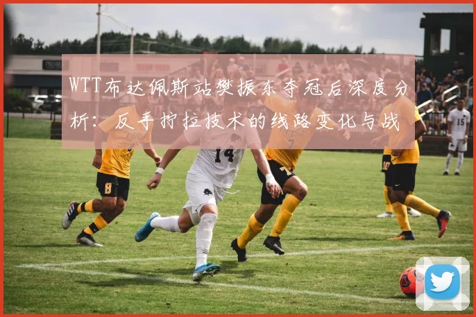 WTT布达佩斯站樊振东夺冠后深度分析:反手拧拉技术的线路变化与战术支点作用